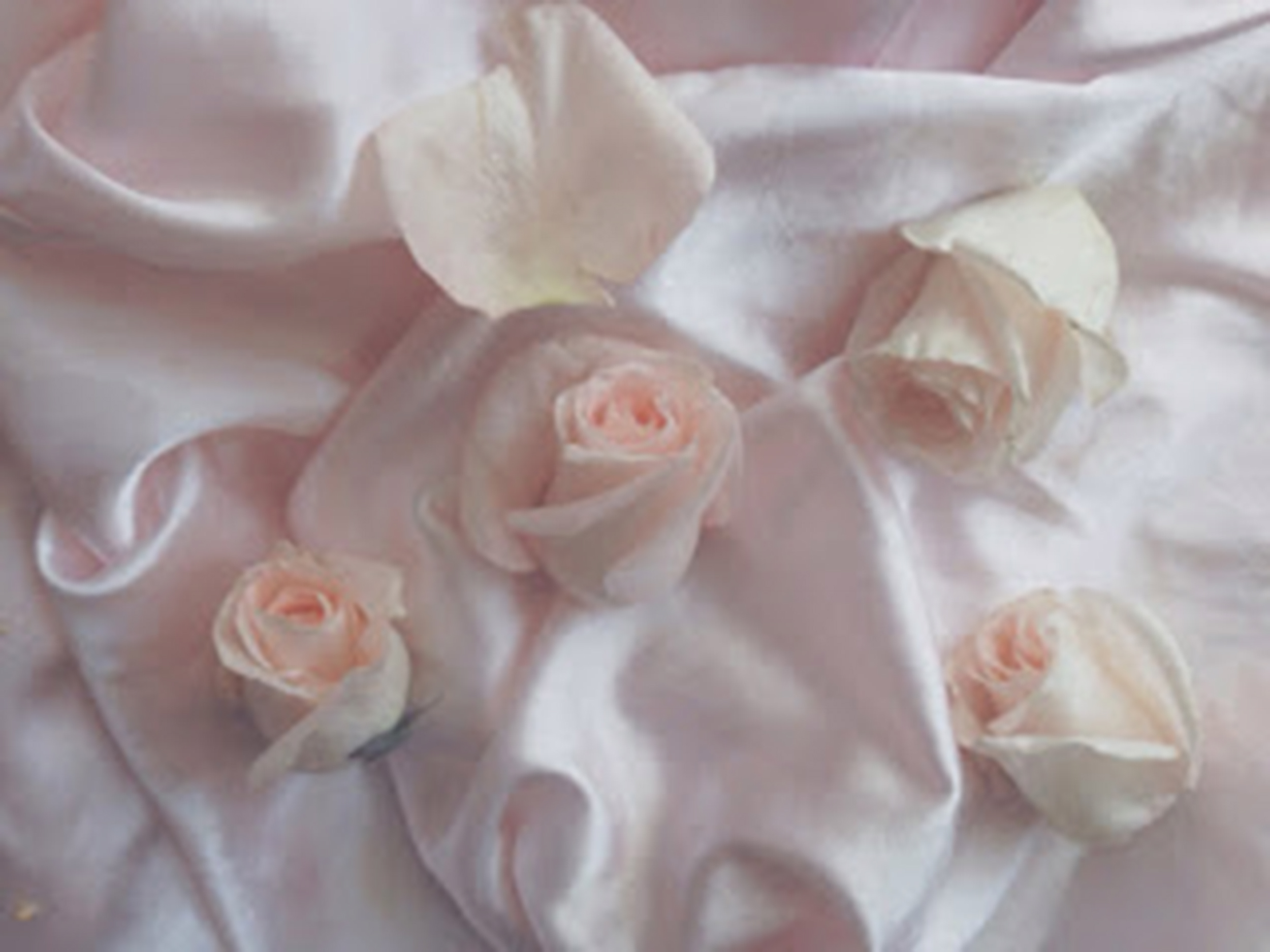 mad girl's love song/ophelia's last day