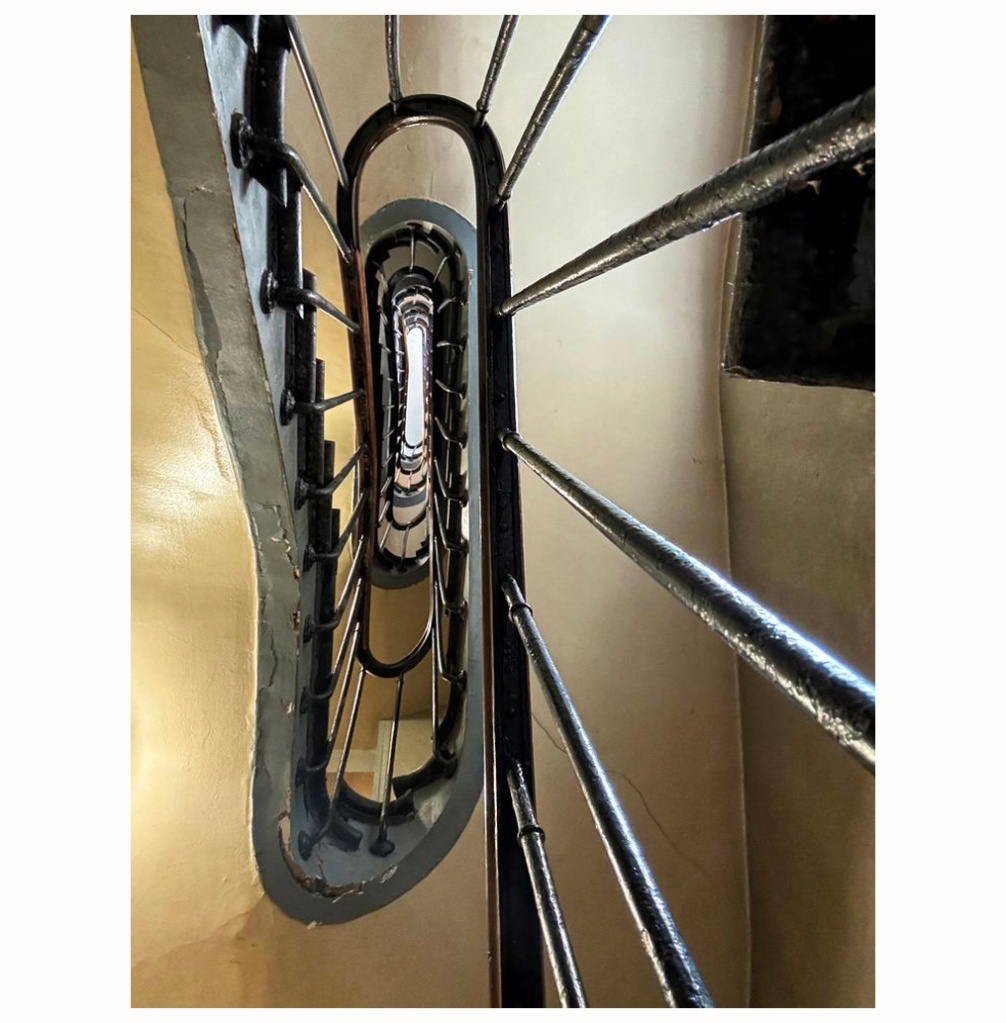 This image has an empty alt attribute; its file name is chloe-.jpg