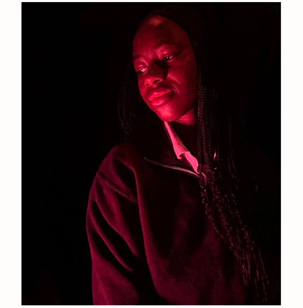 This image has an empty alt attribute; its file name is ruby-1.jpg